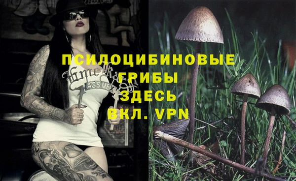 а пвп мука Абаза